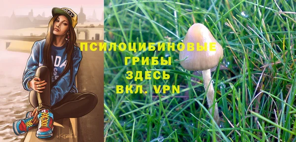 а пвп мука Алексеевка