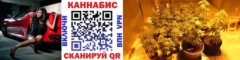 Бошки Шишки марихуана мега как зайти Новоалтайск